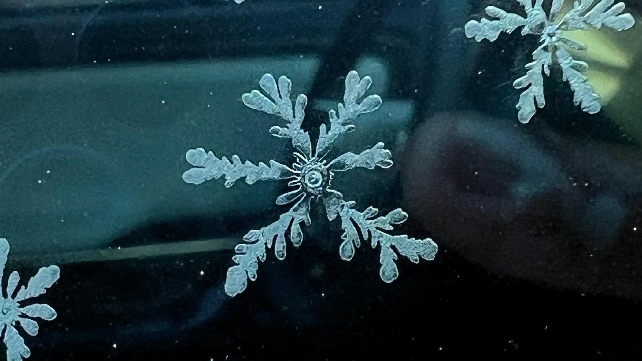 Ice Flower Defect (in glass) | Rivian Forums - R1 R2 R3 R4 News, Specs ...