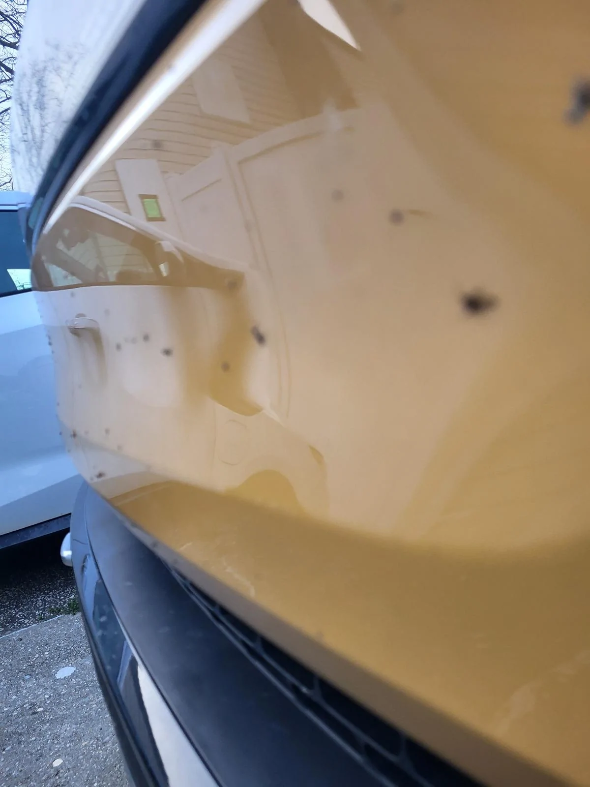 Rivian R1T R1S “I’ll be back” 20240409_190832