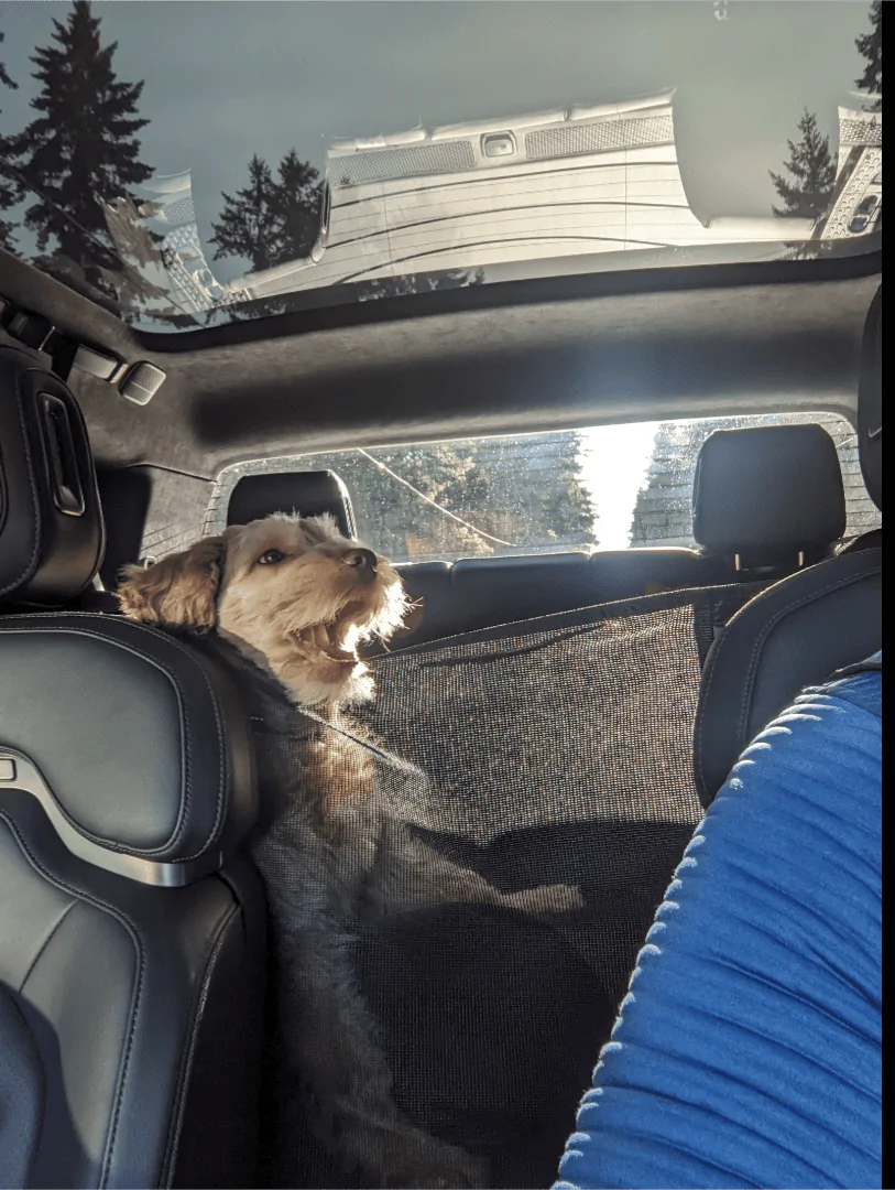 Rivian R1T R1S Pet Mode Music 1000010294