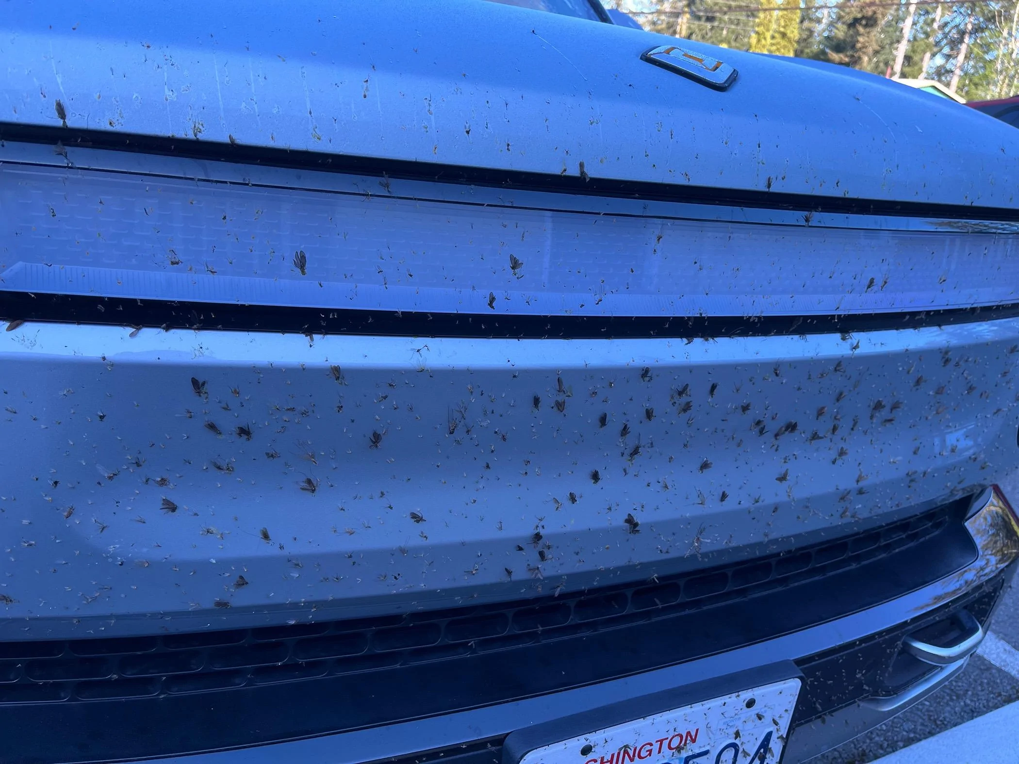 Rivian R1T R1S Did bugs disable my adaptive cruise control? IMG_3123