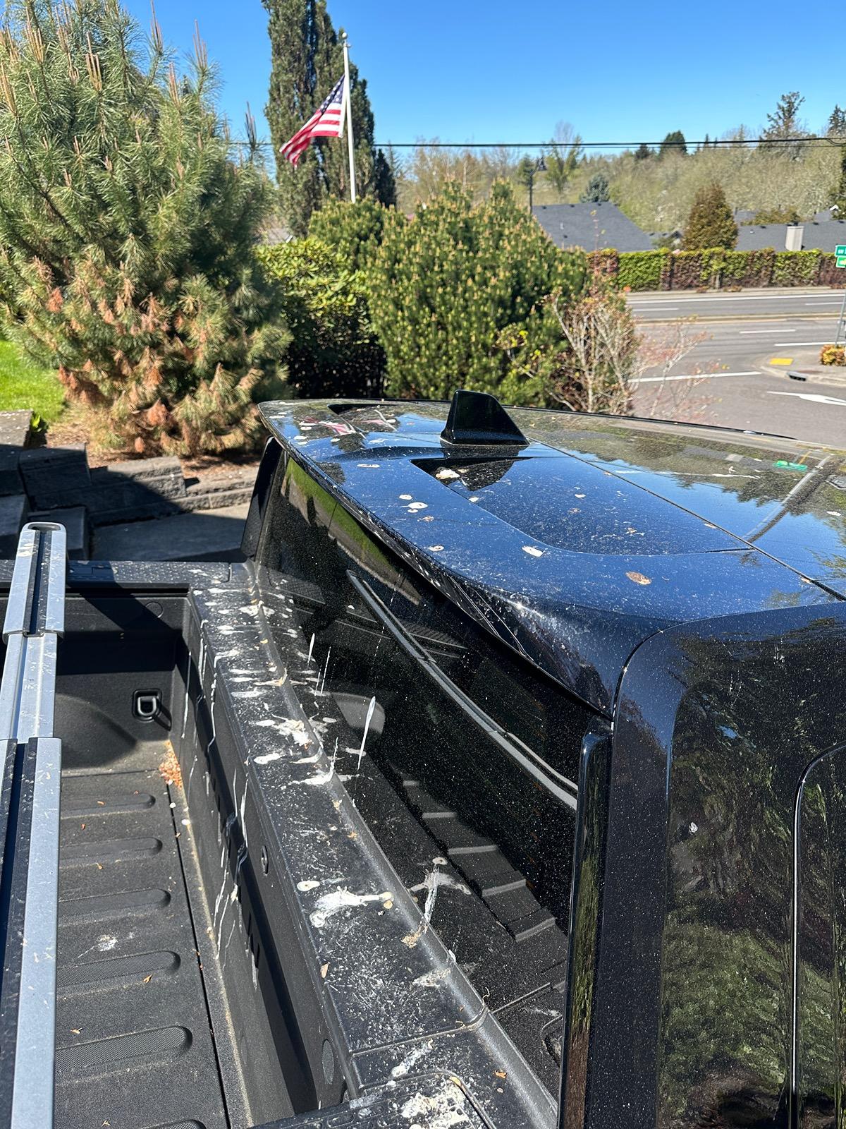 Rivian R1T R1S Beating the bird poop! IMG_1500