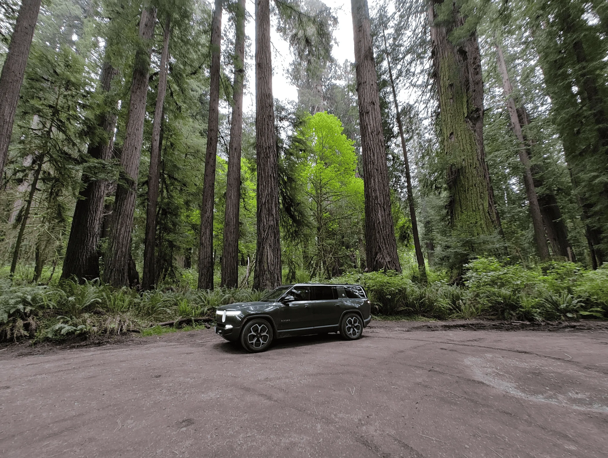 Rivian R1T R1S R1S Roadtrip to the Redwoods from Seattle 1716170324254-bs