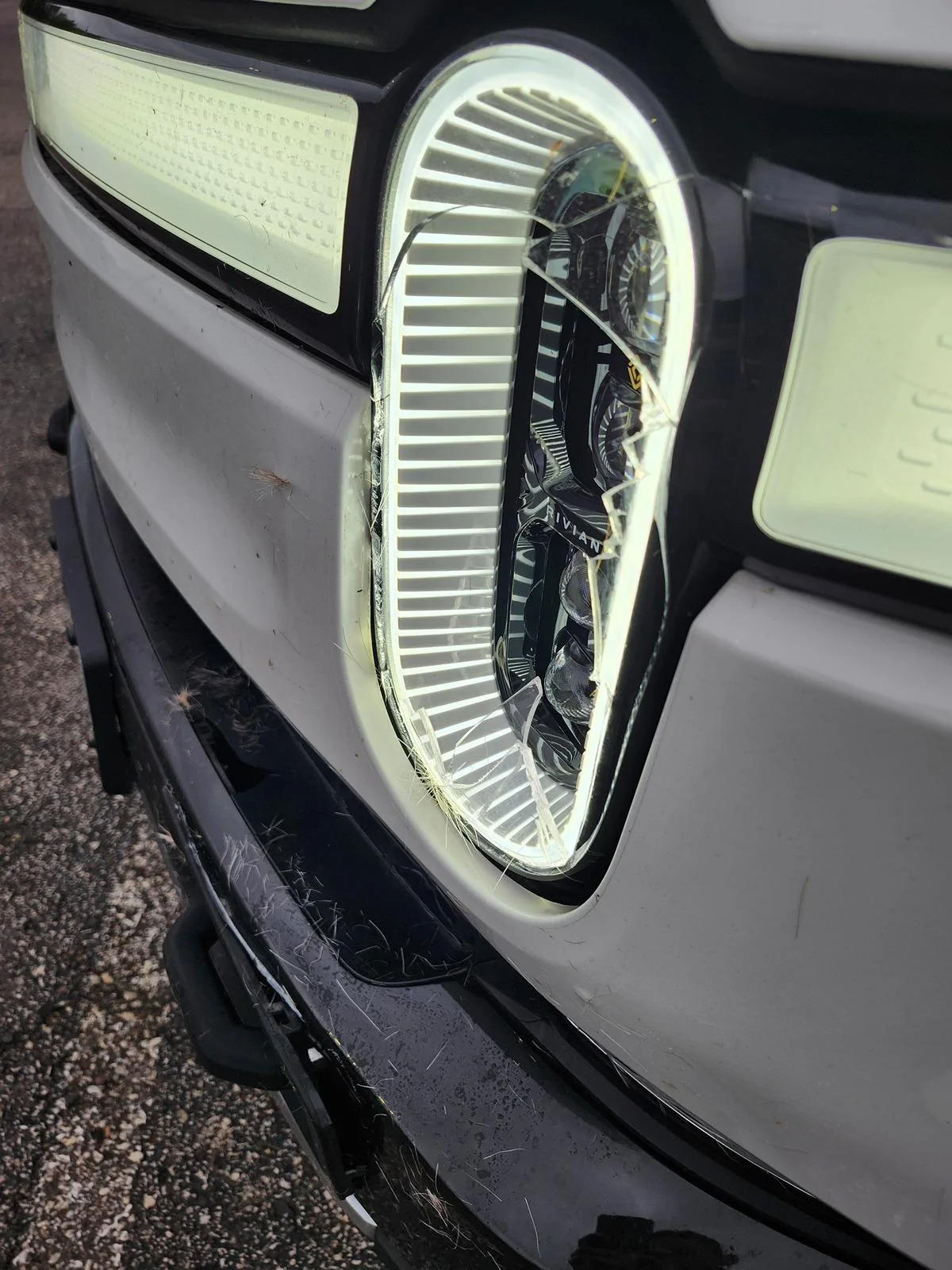 Rivian R1T R1S Deer hit the front end... repair cost? 1000015198