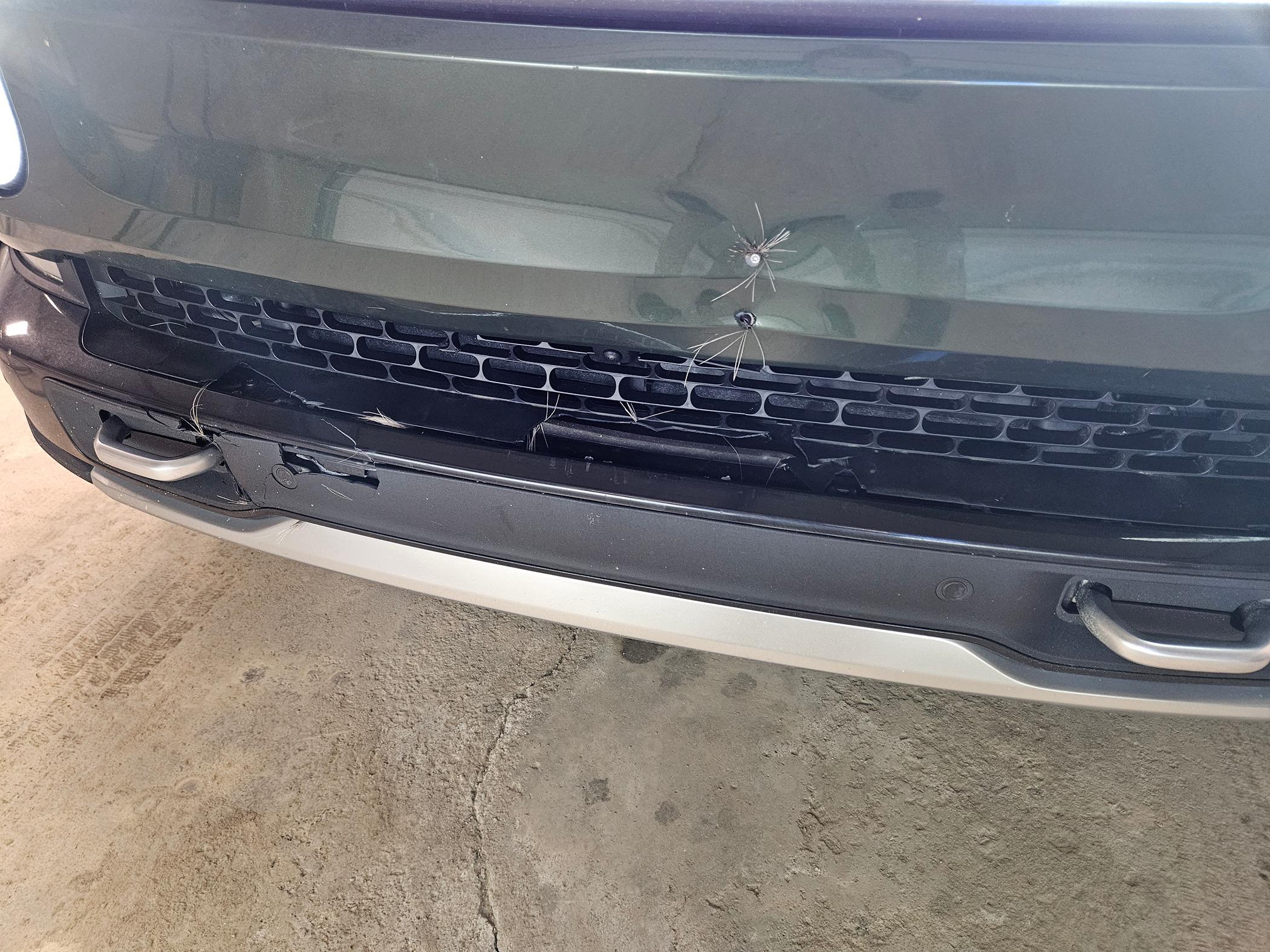 Rivian R1T R1S Deer hit the front end... repair cost? 20240204_180813