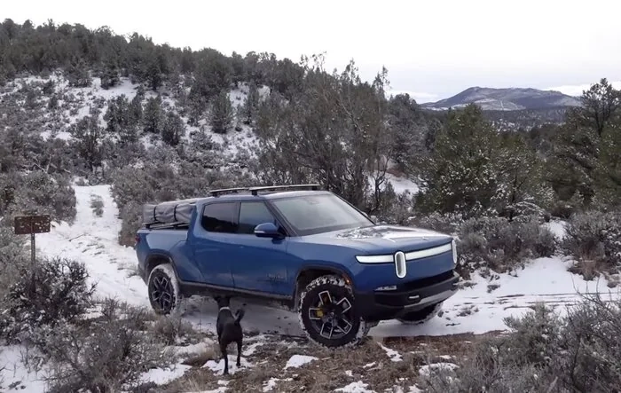Off-road Christmas Tree Hunting with R1T in backwoods