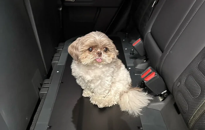 R1T Under Rear Seat Cargo Covers & Dog / Pet Decks have lauched! New at EVSportine.com