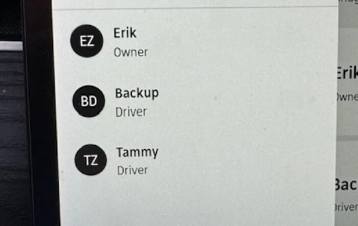 Automatic Reverse Mirror Tilt workaround using driver profiles