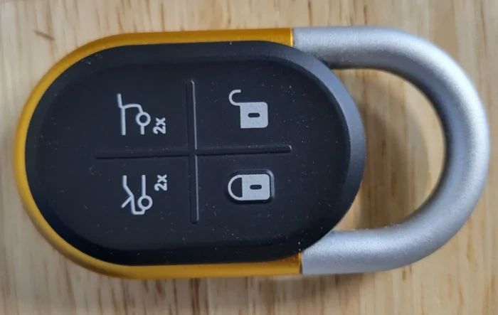 MY24 came with Silver Colored Key Fob Buttons