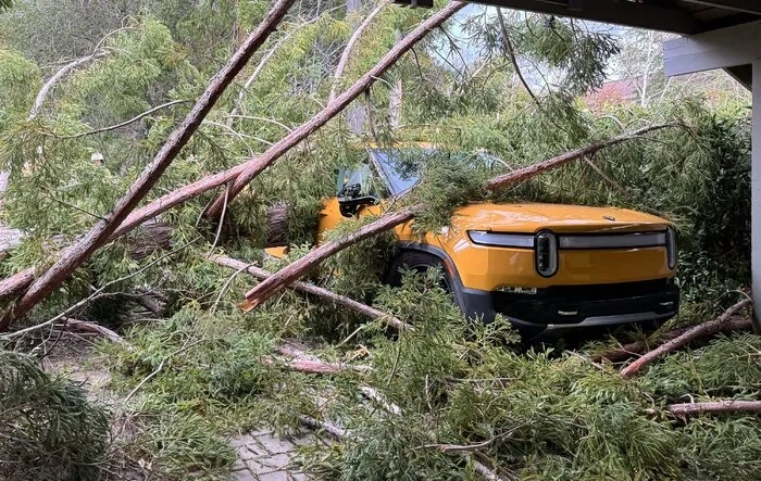 Rivian crushed by tree in California storm