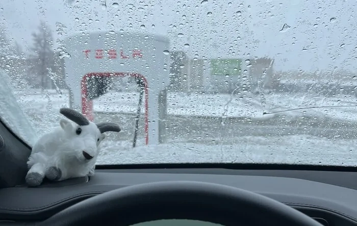 Finally charged at a Tesla Magic Dock Supercharger