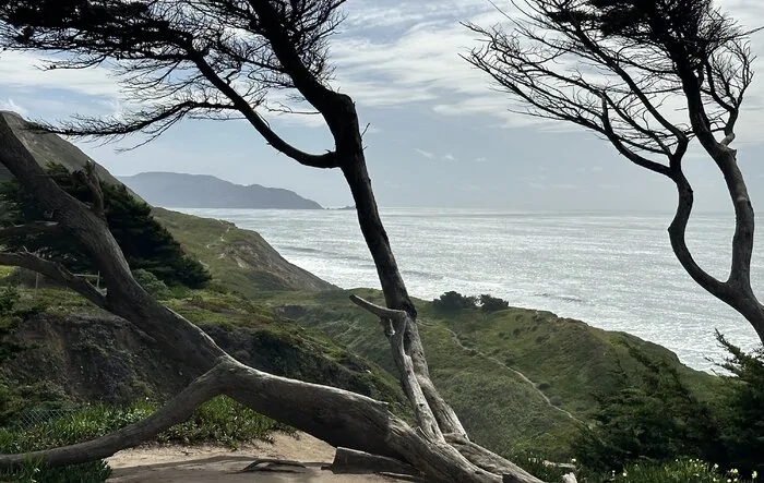Coastal Goodness Theraputic Drive