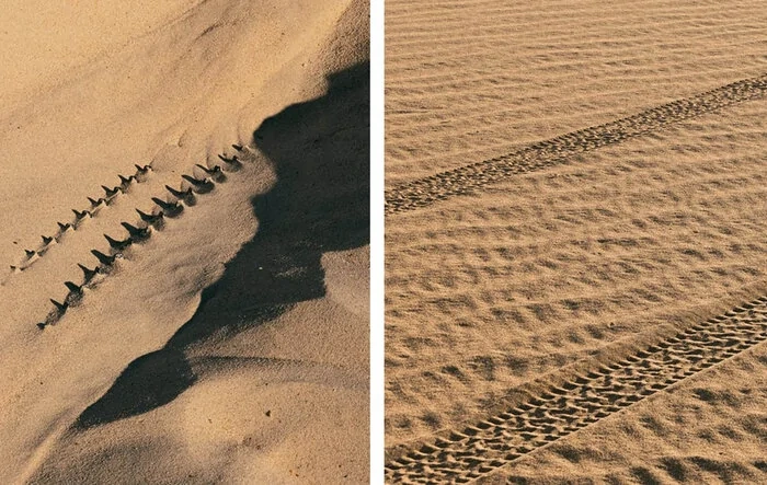 "A mirage take shape Feb 19" - Rivian teasers [for new California Dune color?]