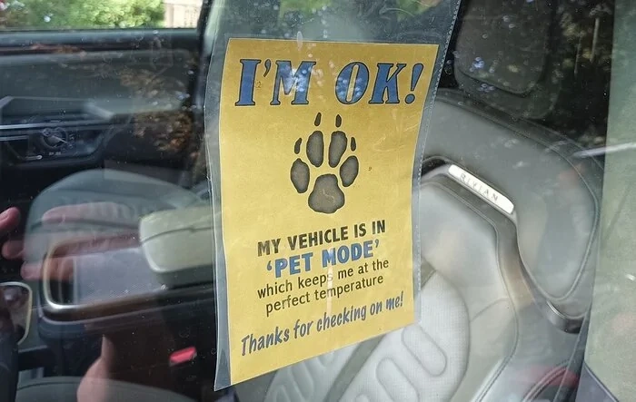 Pet Comfort Mode sign - print your own (file attached)