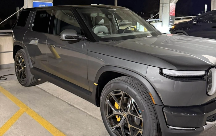 Half Moon Grey R2 Spotted