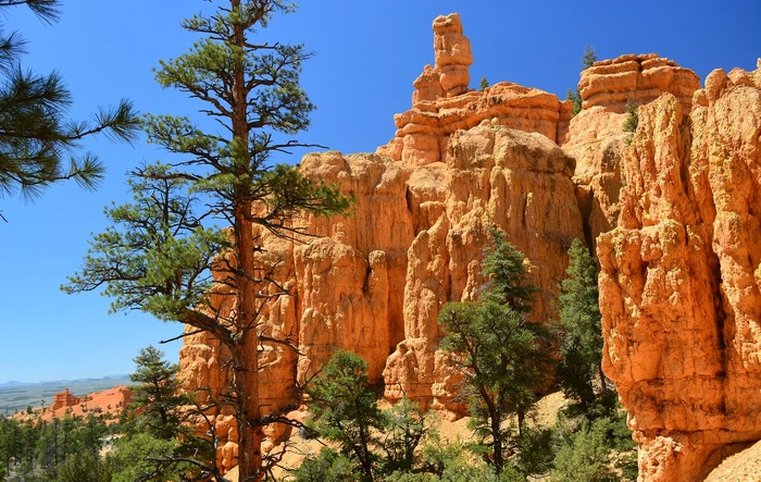 Trip Report:  Minnesota to Utah & AZ National Monuments