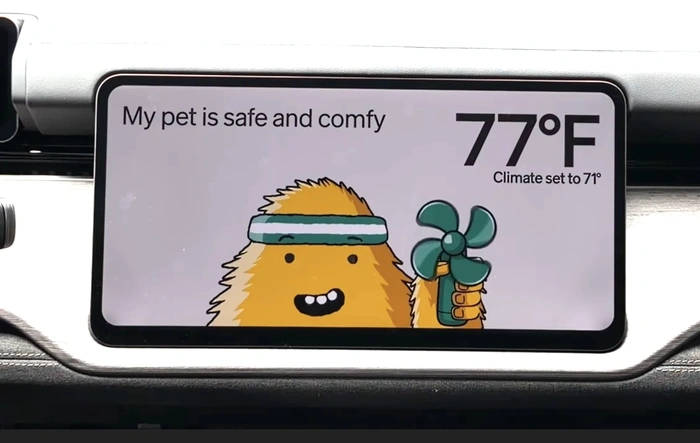 R2 Pet Mode Concerns From Owner's Test