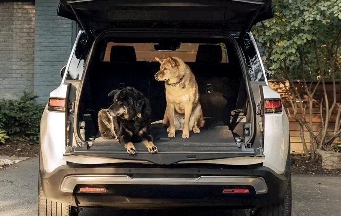 Rivian tweet: a "full sizing up" of the R1S coming tomorrow (6/27)