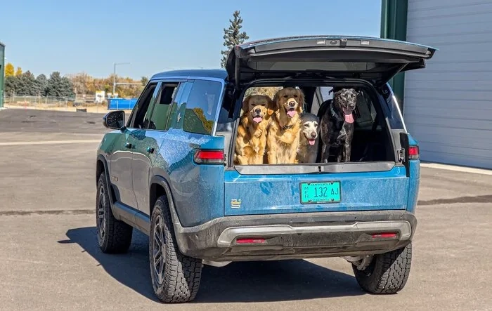The Rivian R1S is the Ultimate Dog Hauler [Out of Spec YT]