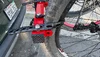 IMG_1705.webp