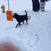 1000008918.gif