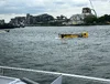 IMG_8587.webp