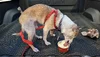 1781468835788-3g.webp