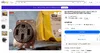 1784043922474-52.webp