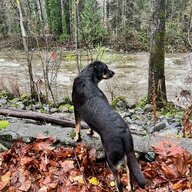 North_Van