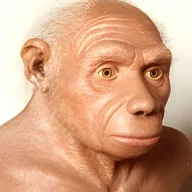 ohmman