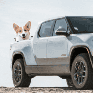 riviandogs
