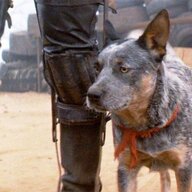 MadMax