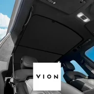 VION