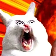 commanderSalamander