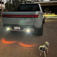 MKSRT1