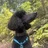 boulderdog