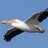 WhiteBird