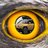 Eyes like a hawk