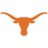 R1TinTexas
